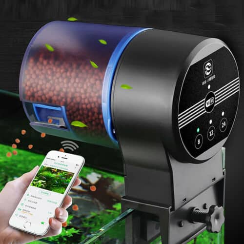 How the Best Automatic Fish Feeder Can Transform Your Aquarium Care Routine